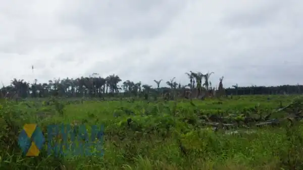 7 Solid Reasons You Should Be Investing In Land Now